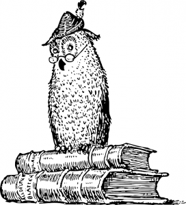 owl-31691_640